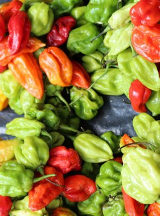 un-composant-du-piment-pourrait-devenir-un-allie-minceur-17022015162